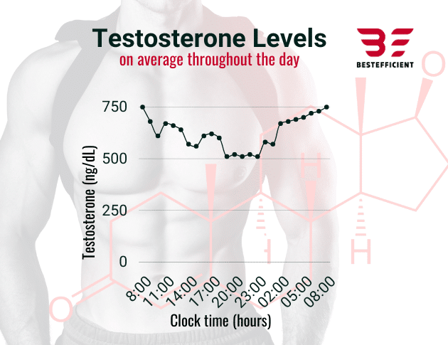Testosterone levels during the day
